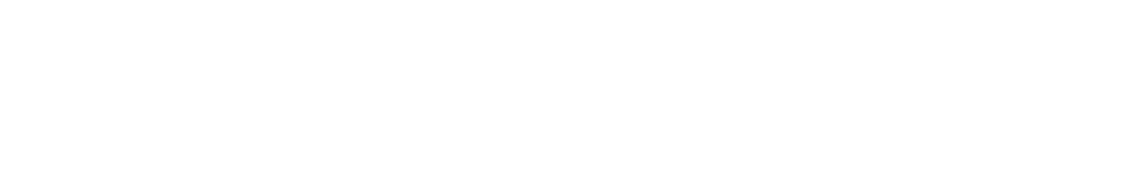 The Crazy Goose Logo